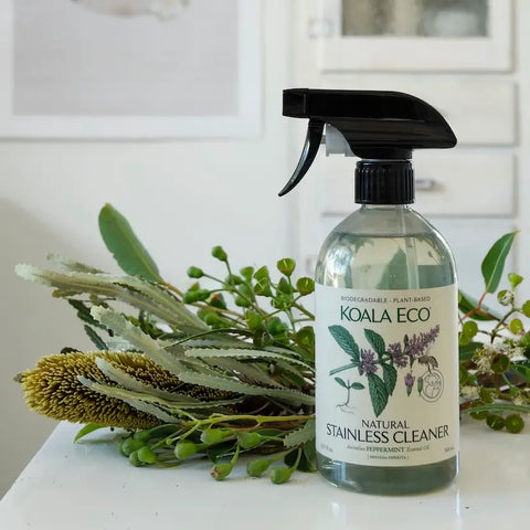 Stainless Cleaner