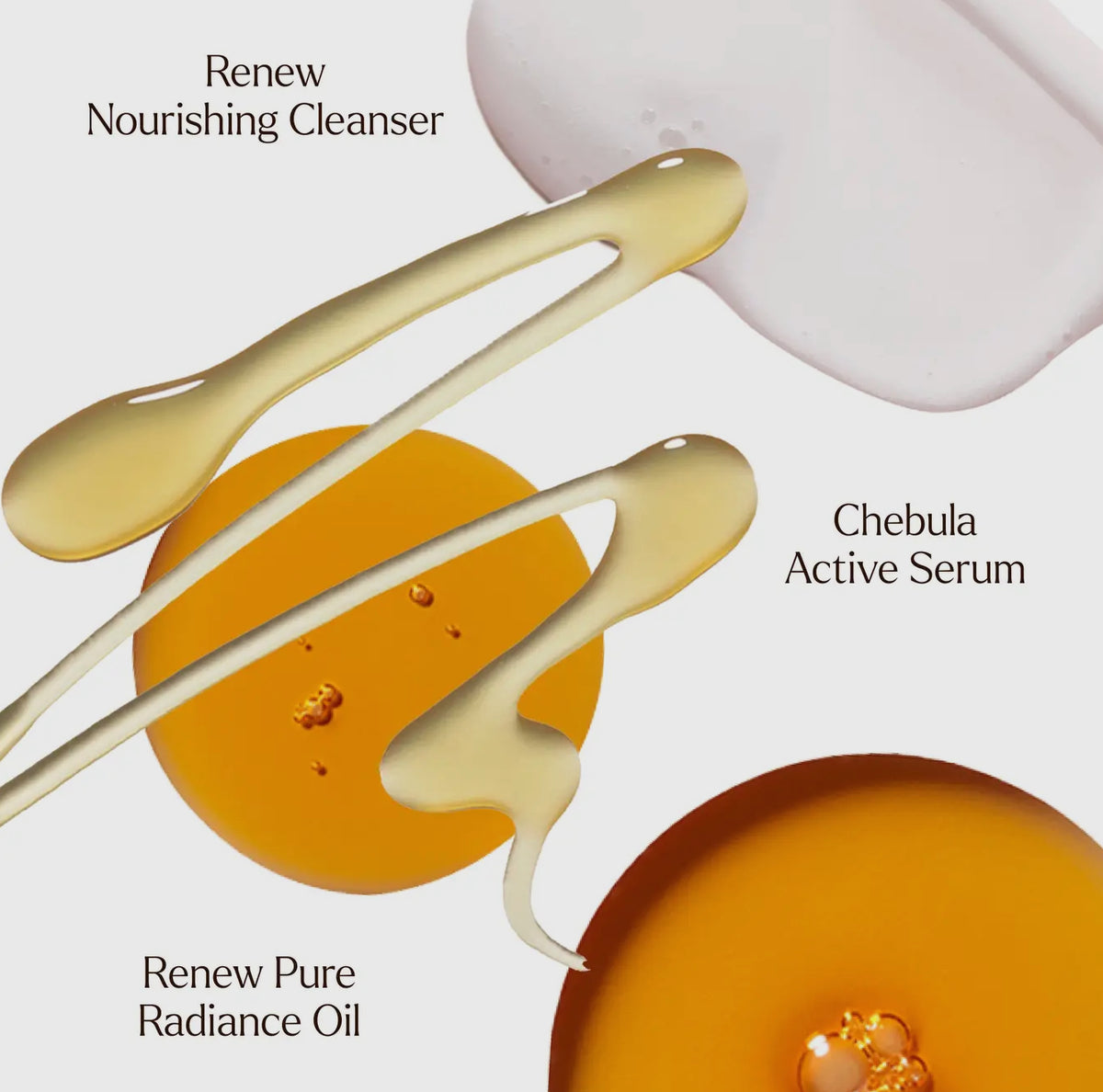 A True Transformation – Paradigm Beauty