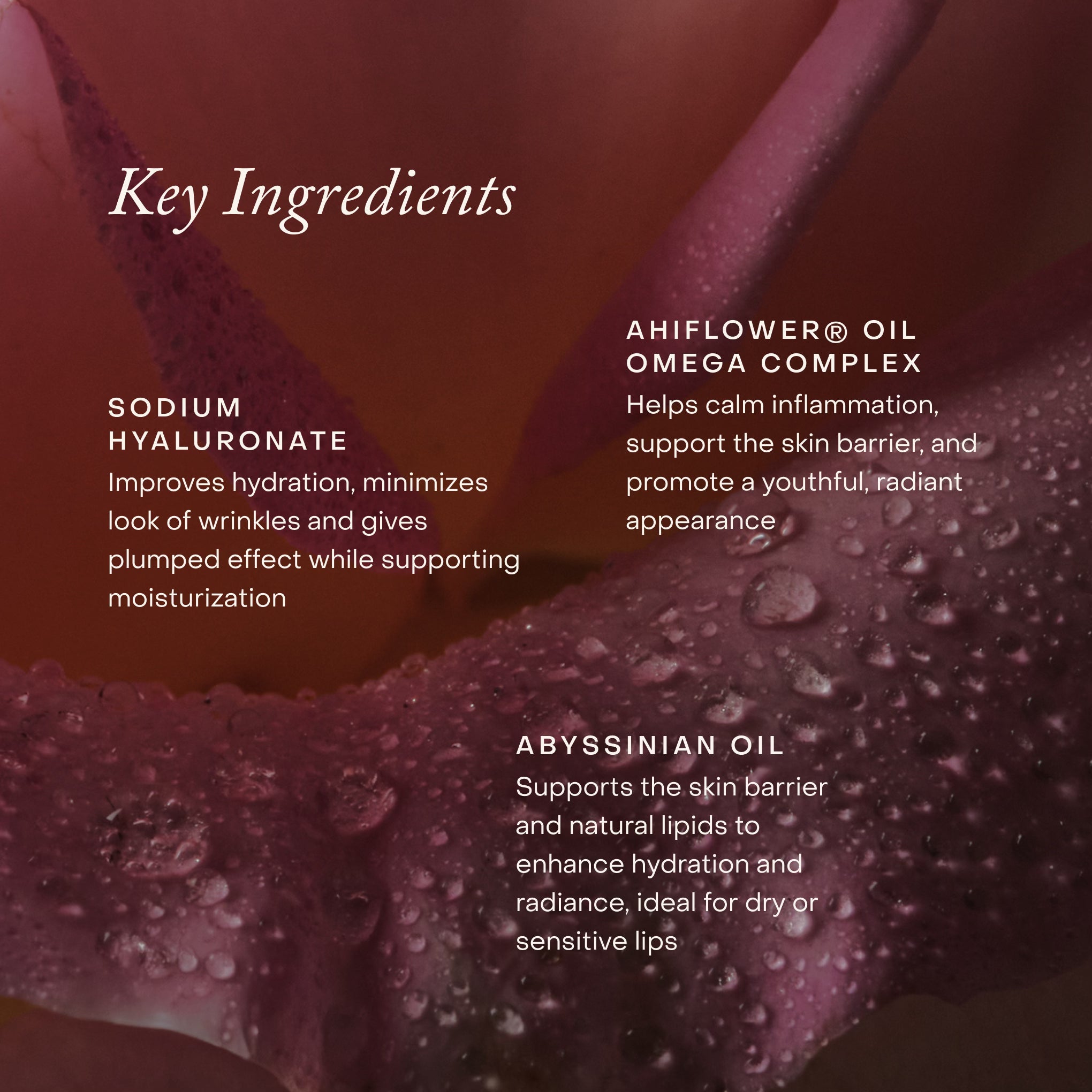 Lipid Lip Hydrating Glossy Oil